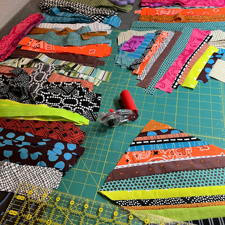 Detail of Thinking About California While Swimming in the Rain Quilt
