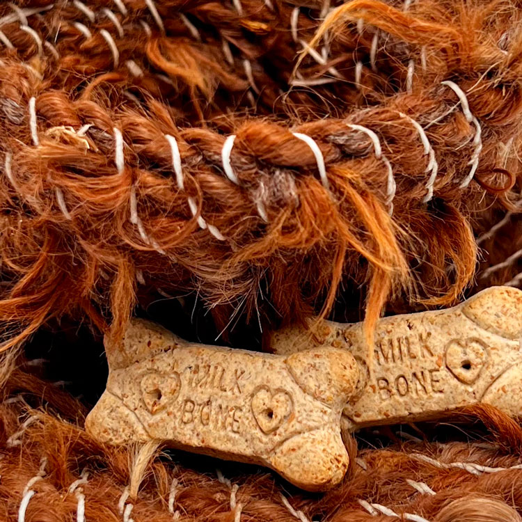Detail of Dog Fur Object