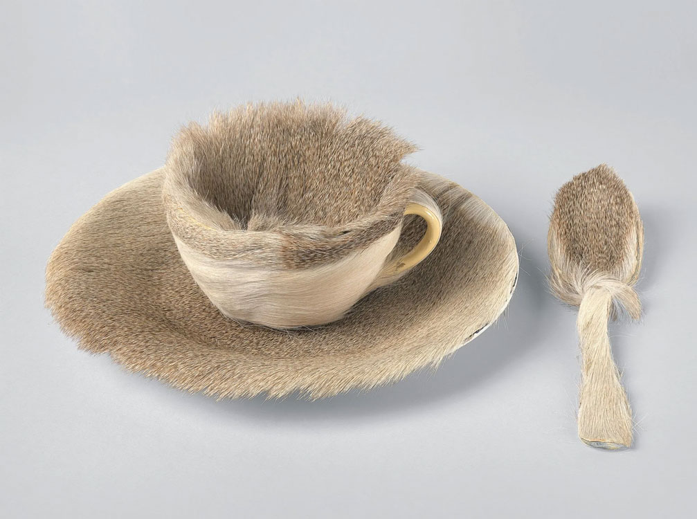 Image of Meret Oppenheim Object