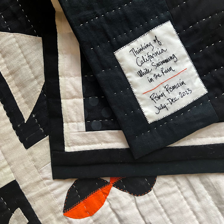 Detail of Thinking About California While Swimming in the Rain Quilt