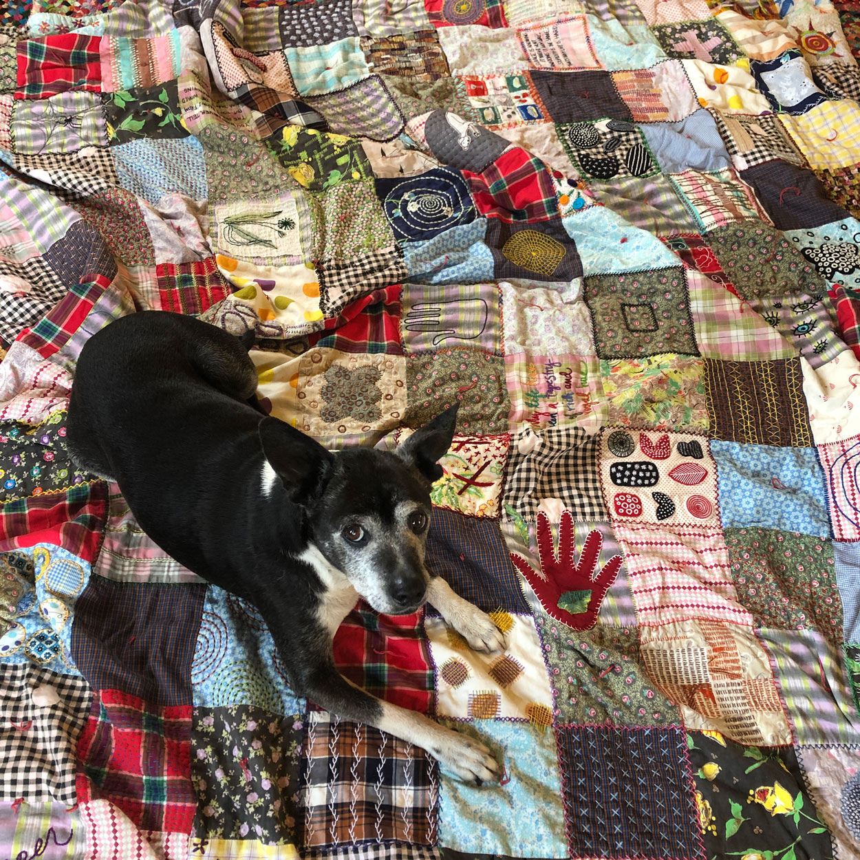 Image of It's Too Hot to Go Outside by Robin Romain